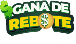 Gana de Rebote con La Bolita